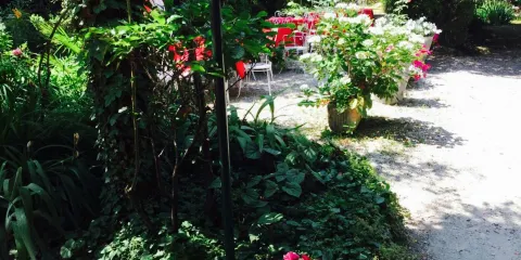 Ristorante Bar Scovolo