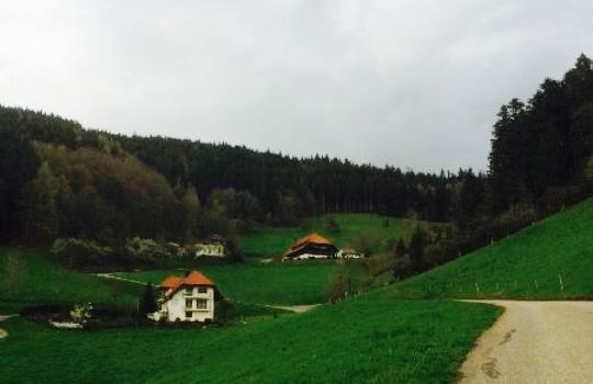 Gasthaus Kappelehof