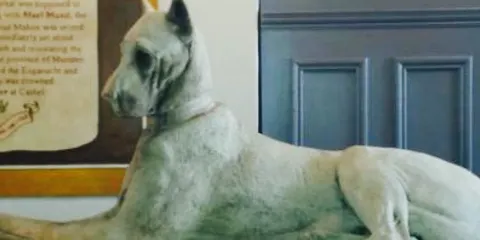 The Bishop's Buttery