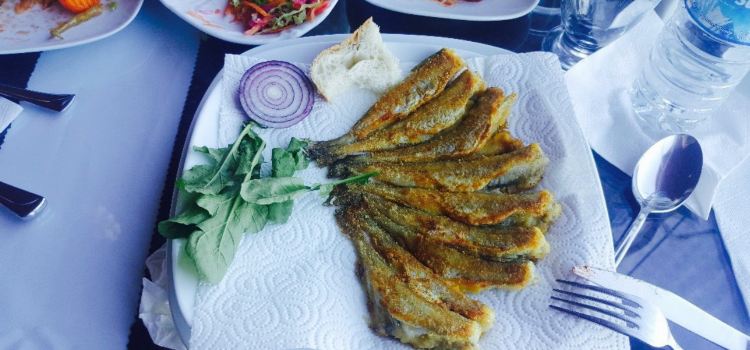 Kuzey Balik Lokantasi