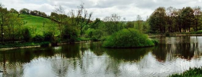 Lakeside Cafe