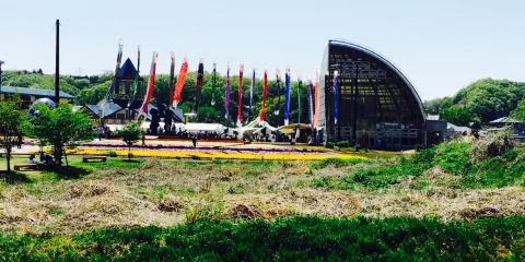 Michi No Eki Motegi Handmade Soba Wappameshi Kikyo