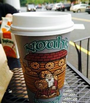 Noah Bagel
