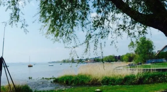 Seegarten Allensbach