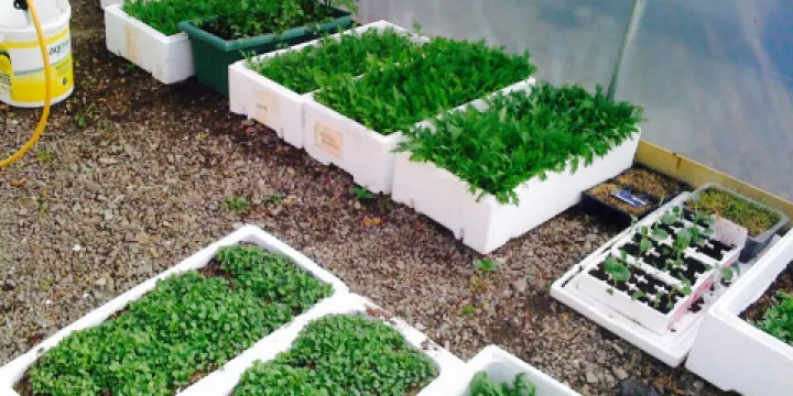 The Bay Tree Restaurant