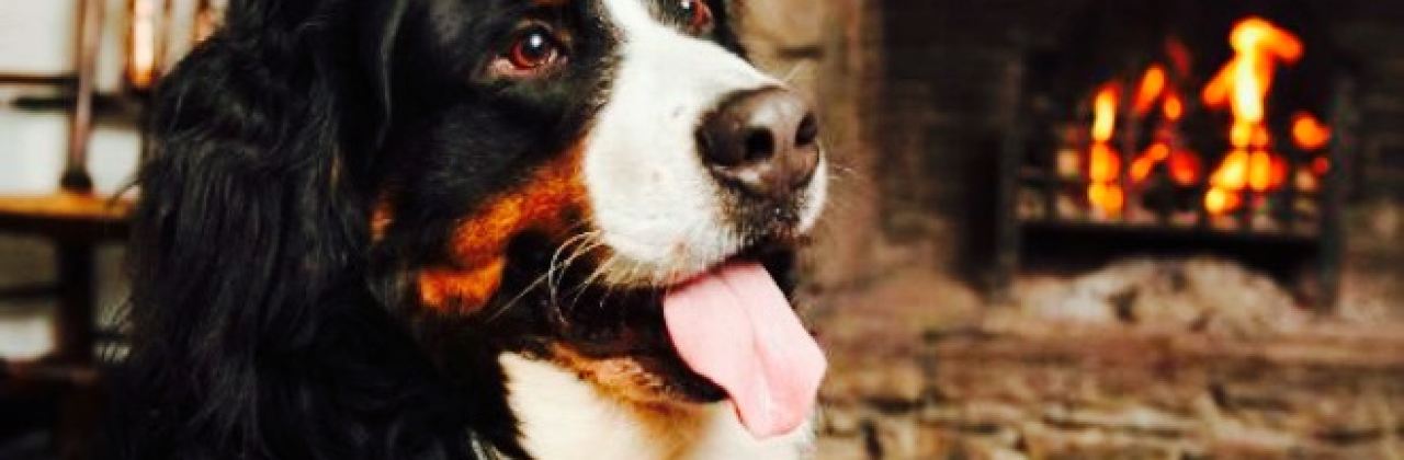 The Crown Country Inn