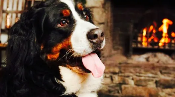 The Crown Country Inn