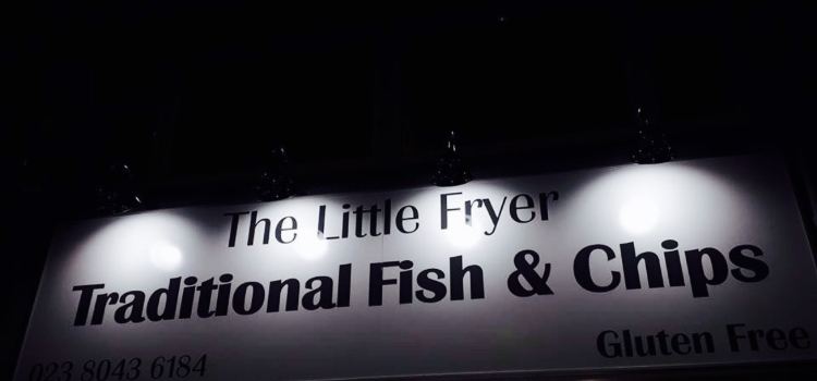 The Little Fryer