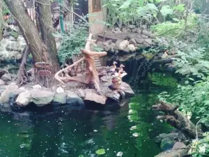 Club Piranha