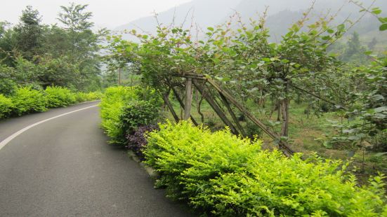 虹口旅游保护区地处都江堰市西北边隅，从四川盆地边缘突兀而起，