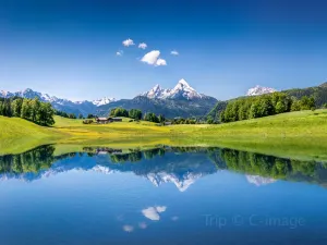 Alpi