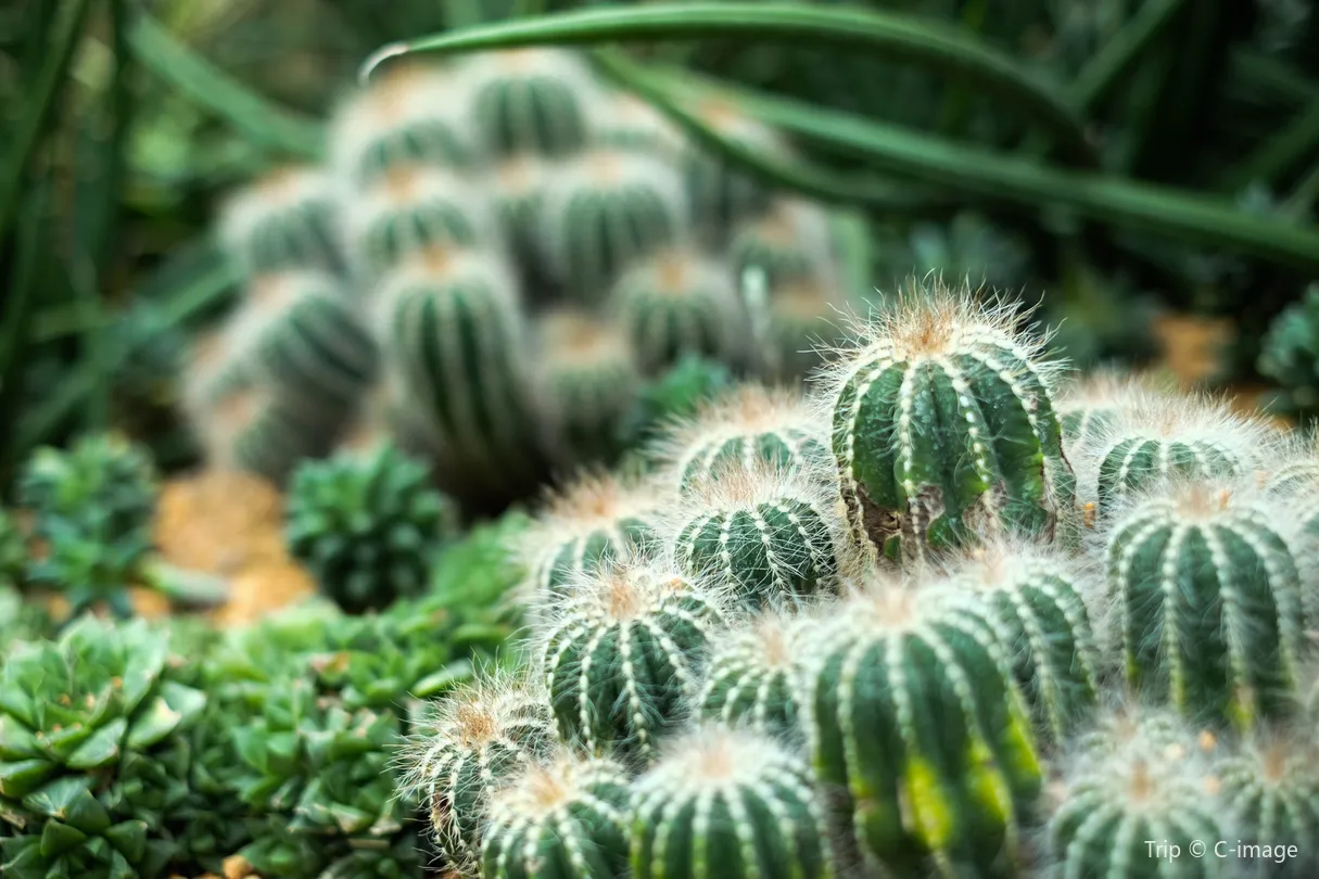 5_新加坡植物園