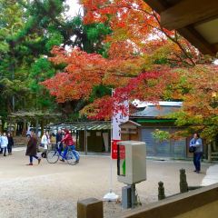 Kasuga Ninai Jyaya User Photo