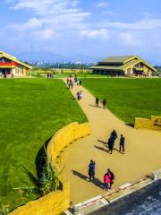 Shangshankaogu Ruins Park