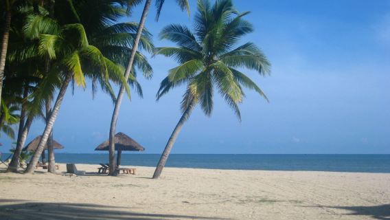 excursión de un día el Museo de Ciencias Aeroespaciales de Wenchang + Coconut Grove, suburbio este + Tongguling + calle antigua de Wennan (disponible en inglés)