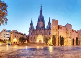 Cathedral of Barcelona