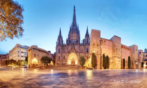 Cathedral of Barcelona