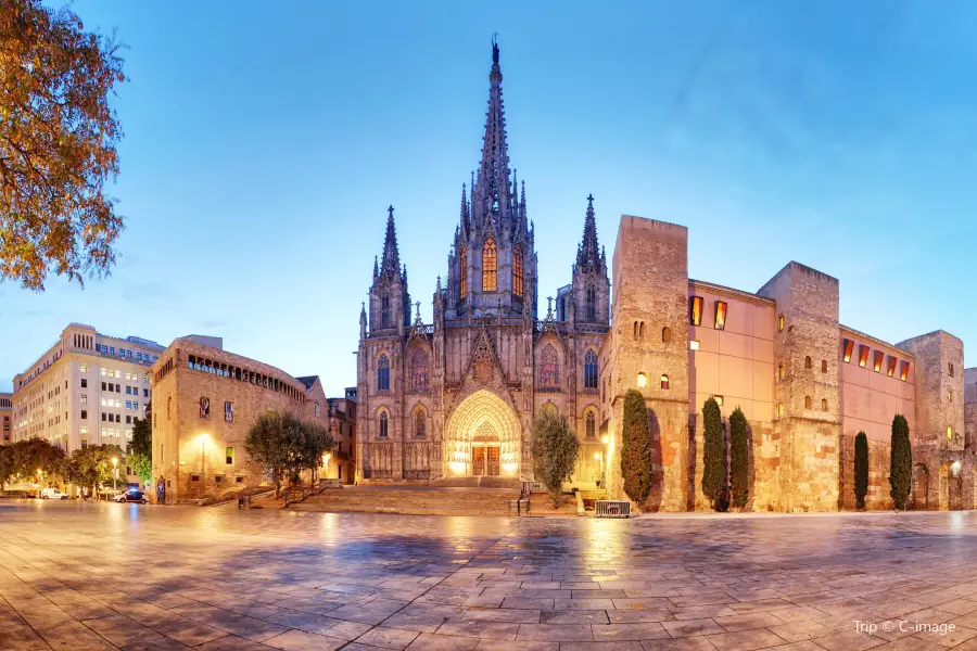 Cathédrale Sainte-Croix de Barcelone