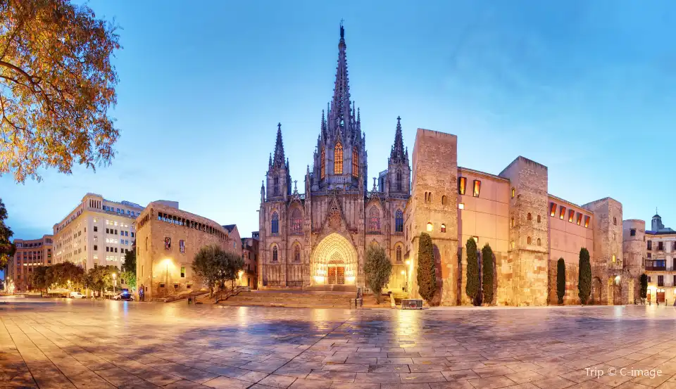 4_Cathedral of Barcelona
