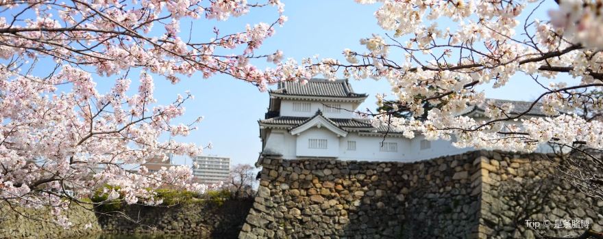 岸和田城