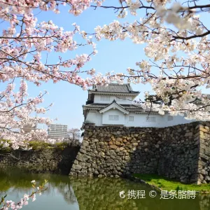 岸和田城