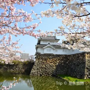 岸和田城
