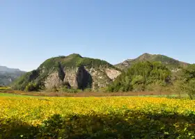 Пейзаж на горе Коулун
