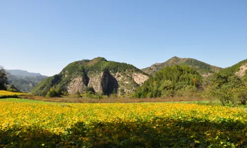 Nine-Dragon Mountain Scenic Area