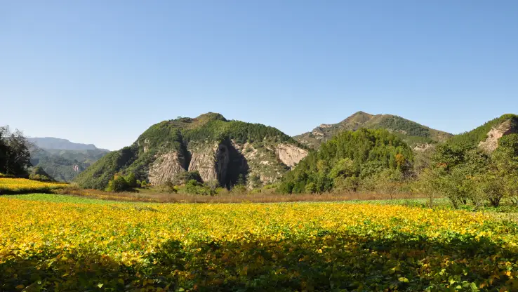 九龍山風景区