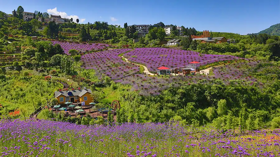Hotels near Sea of Flowers in North Guizhou