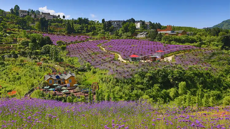 Hotels near Sea of Flowers in North Guizhou