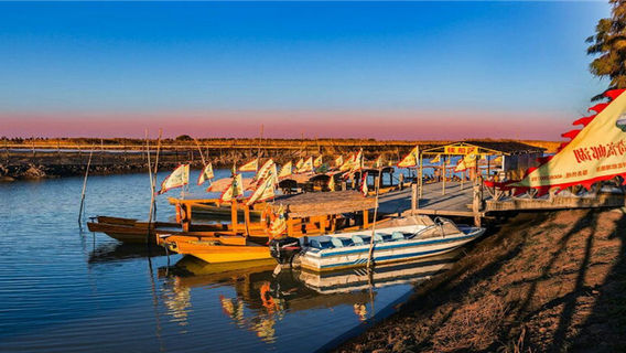 Gaoyou Lake Reed Wetland Park