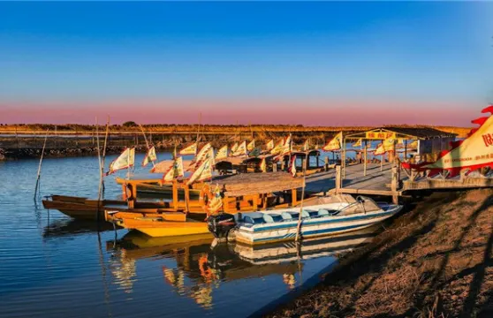 高郵湖蘆葦盪濕地公園門票大小同價