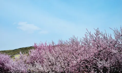火石寨國家地質（森林）公園