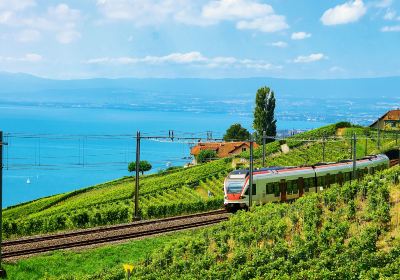 Vevey