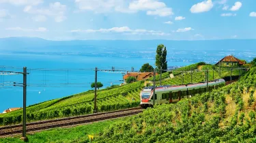 Vevey