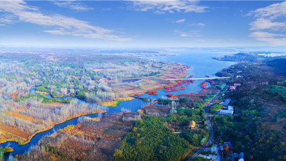 Tieshan Temple National Forest Park
