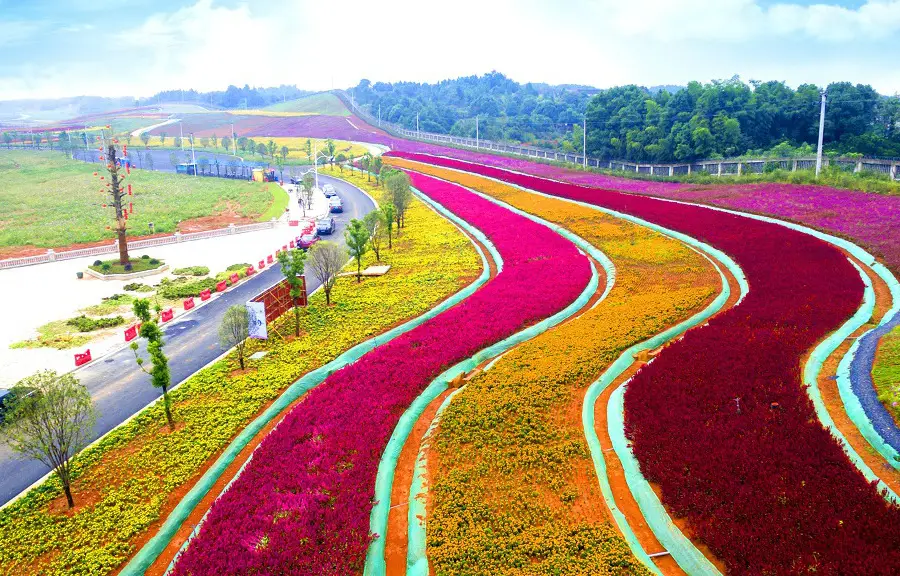 Yangsha Lake International Tourism Resort