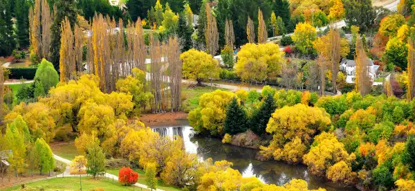 Hotels in Arrowtown