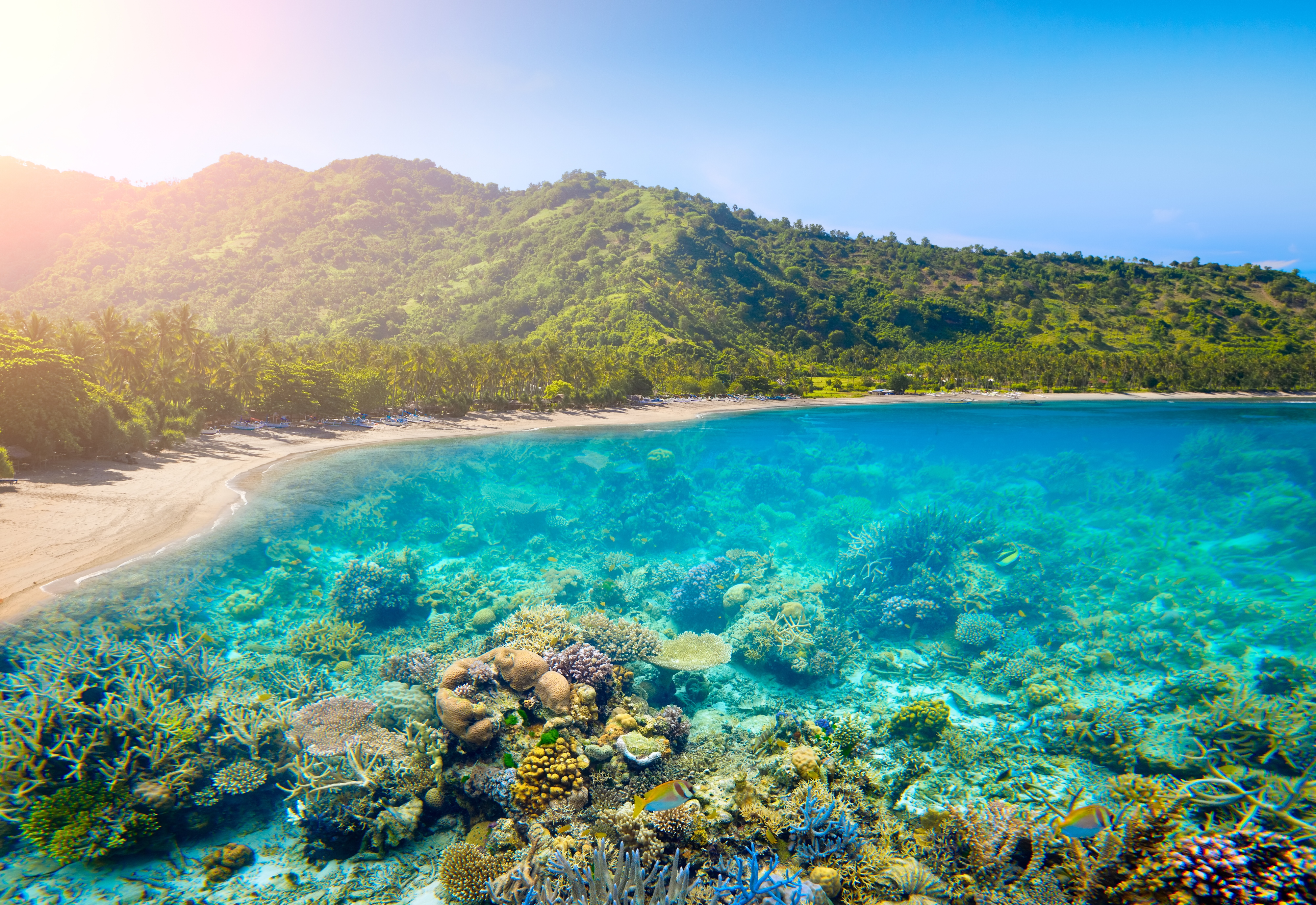 2025 Lombok Travel Guide: Must-see attractions, popular food, hotels, transportation routes (updated in March)