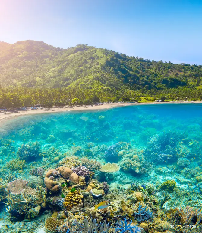 Lombok