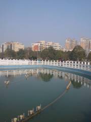 People's Square