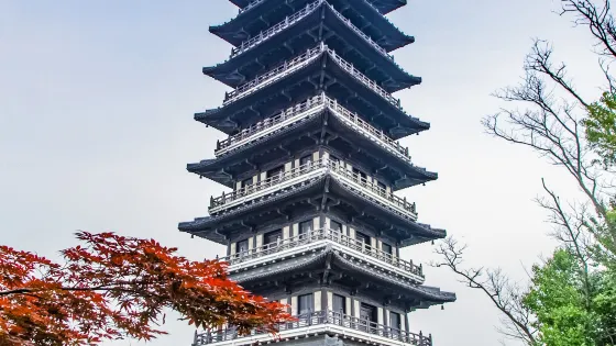 龍背山森林公園-文峯塔