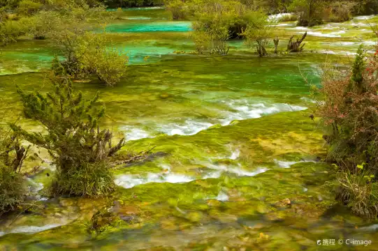 Hotels near Bonsai Ford