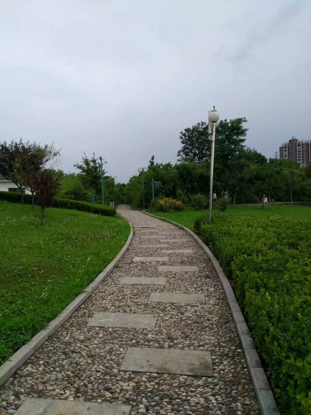 城西公園旅遊攻略指南 城西公園評價 城西公園附近推薦 Trip Com