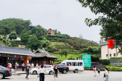 夹江天福服务区-a茶庄