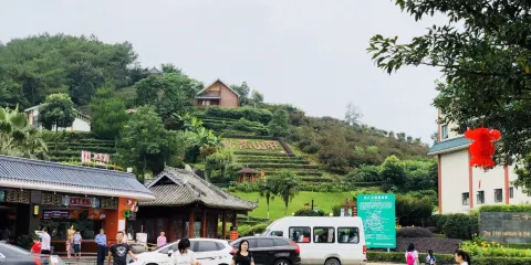 （天福服務區）天福茶食