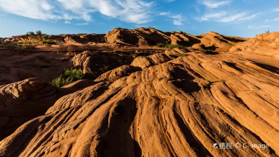 The Wave Valley