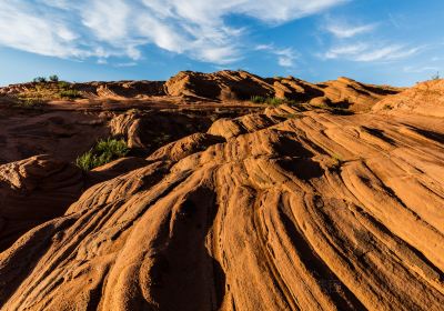 The Wave Valley