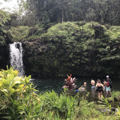 蕨類植物洞旅遊攻略指南 蕨類植物洞評論 蕨類植物洞附近推薦 Trip Com